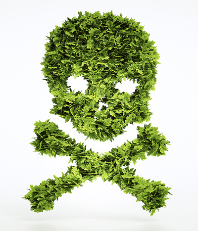 cannabis deaddiction kottayam