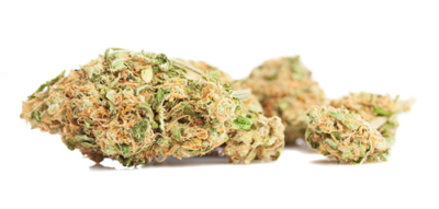 cannabis hospital kottayam