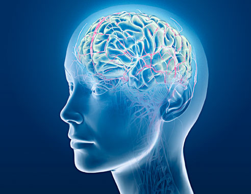 mental illness treatment kottayam
